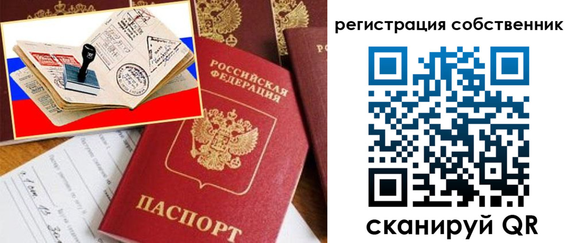 регистрация в Кингисеппе